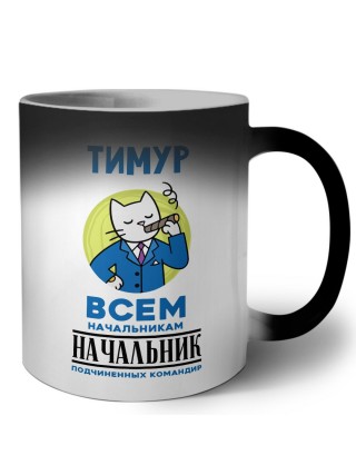 Тимур всем начальникам начальник подчиненных командир