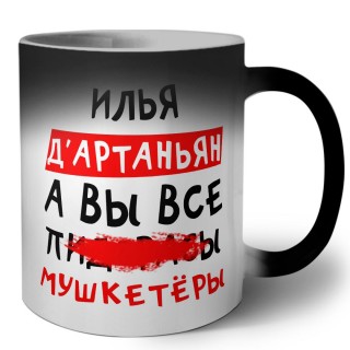 Илья д'артаньян, а вы все пи... мушкетёры