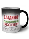 Владимир диванный эксперт - группа быстрого комментирования