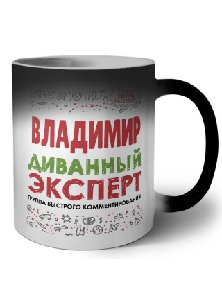 Владимир диванный эксперт - группа быстрого комментирования