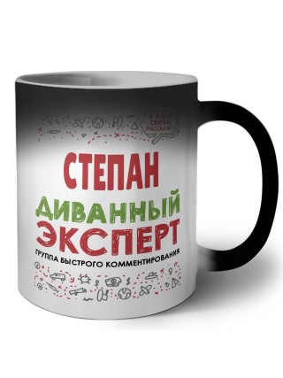 Степан диванный эксперт - группа быстрого комментирования