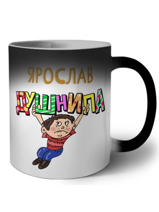Ярослав душнила
