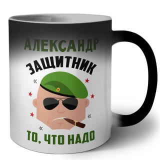 Александр защитник то, что надо