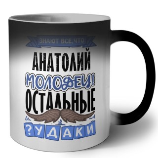 Знают все, что Анатолий молодец! остальные чудаки