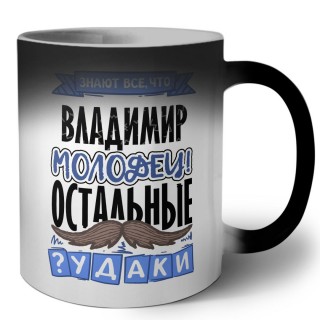 Знают все, что Владимир молодец! остальные чудаки