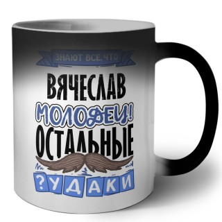 Знают все, что Вячеслав молодец! остальные чудаки