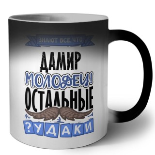 Знают все, что Дамир молодец! остальные чудаки