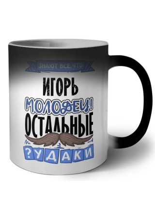 Знают все, что Игорь молодец! остальные чудаки