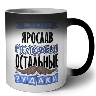 Знают все, что Ярослав молодец! остальные чудаки