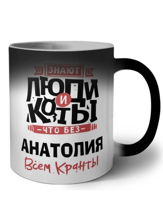 Знают люди и коты, что без Анатолия всем кранты