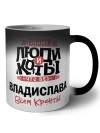 Знают люди и коты, что без Владислава всем кранты
