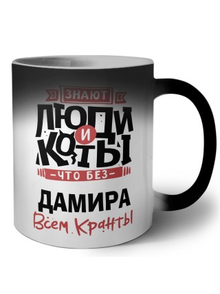 Знают люди и коты, что без Дамира всем кранты