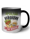Ярослав кайфарик по жизни