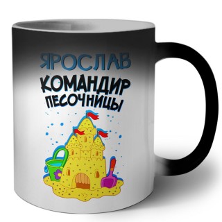 Ярослав командир песочницы