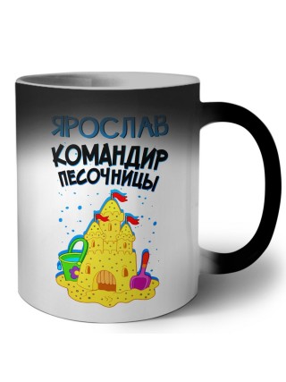 Ярослав командир песочницы