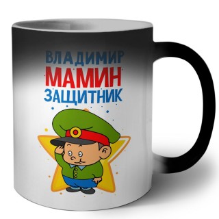 Владимир мамин защитник