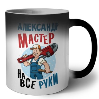 Александр мастер на все руки