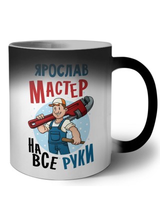 Ярослав мастер на все руки