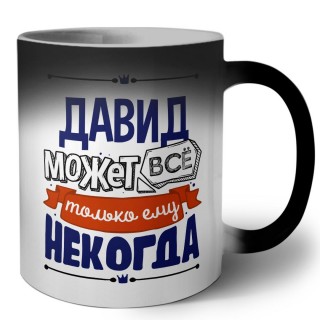 Давид может всё только ему некогда