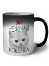 Зоя нежная кошечка