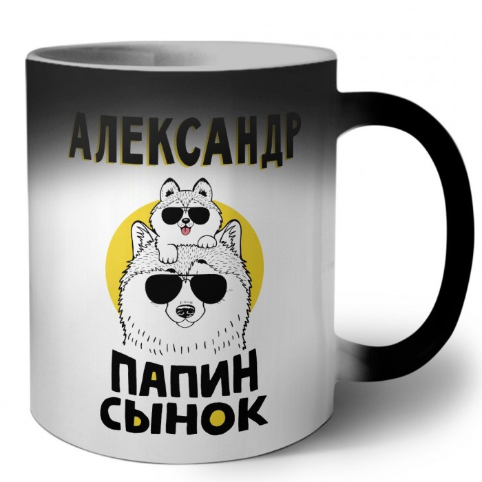 Александр папин сынок