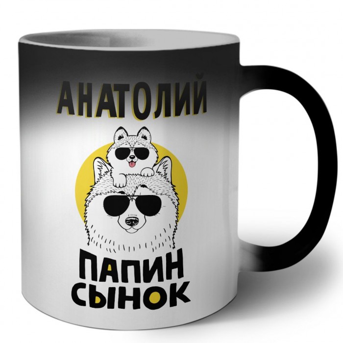 Анатолий папин сынок