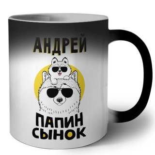 Андрей папин сынок