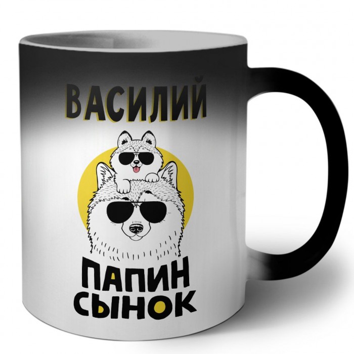 Василий папин сынок