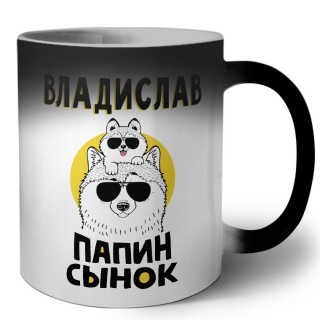 Владислав папин сынок