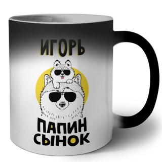 Игорь папин сынок