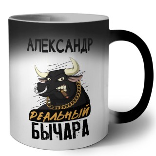 Александр реальный бычара