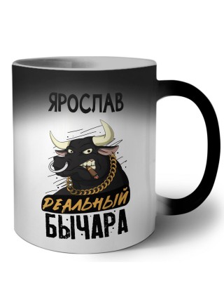 Ярослав реальный бычара