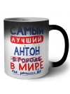 Самый лучший Антон в мире - так решили все
