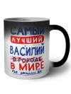 Самый лучший Василий в мире - так решили все