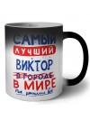 Самый лучший Виктор в мире - так решили все