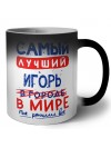 Самый лучший Игорь в мире - так решили все
