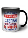 Самый лучший Степан в мире - так решили все