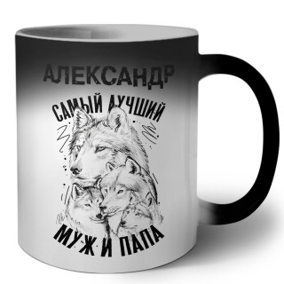 Александр лучший муж и папа