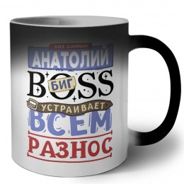 Тот самый Анатолий биг boss устраивает всем разнос