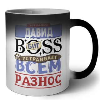 Тот самый Давид биг boss устраивает всем разнос