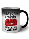 Анатолий чемпион по прыжкам с дивана