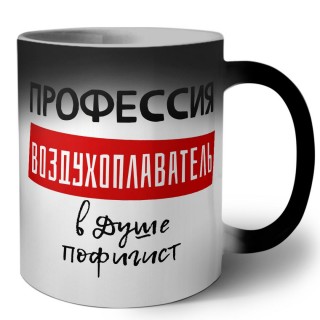 Мужские_Профессия ВОЗДУХОПЛАВАТЕЛЬ в душе пофигист