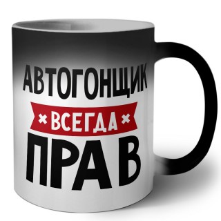 Автогонщик всегда прав