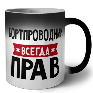 Бортпроводник всегда прав