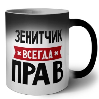 Зенитчик всегда прав