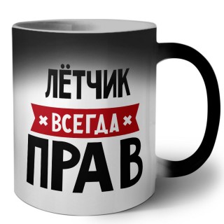 Лётчик всегда прав