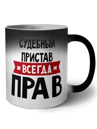 Судебный Пристав всегда прав