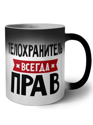 Телохранитель всегда прав
