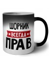 Шорник всегда прав