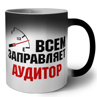 Всем заправляет аудитор